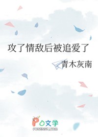 攻了情敌后被追爱了